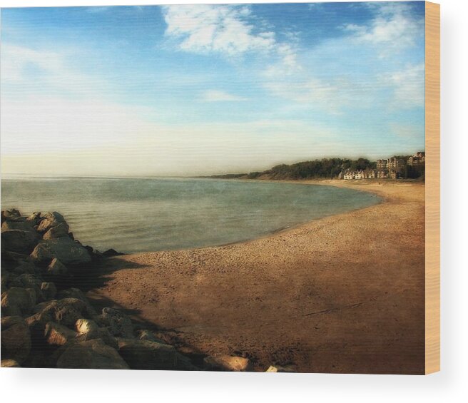 Blue Wood Print featuring the photograph Ottawa Beach State Park by Michelle Calkins