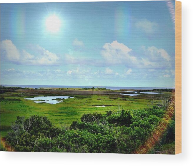 Outer Banks Wood Print featuring the photograph Outer Banks Tranquility by Chris Montcalmo