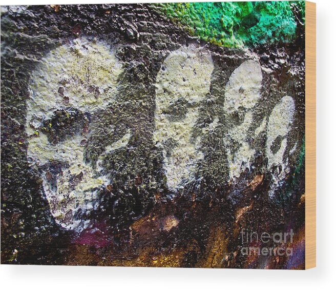 White Skulls Wood Print featuring the photograph Painted Skulls by Kelly Holm