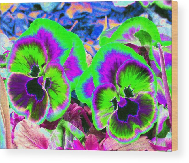 Pansy Wood Print featuring the photograph Pansy Power 60 by Pamela Critchlow