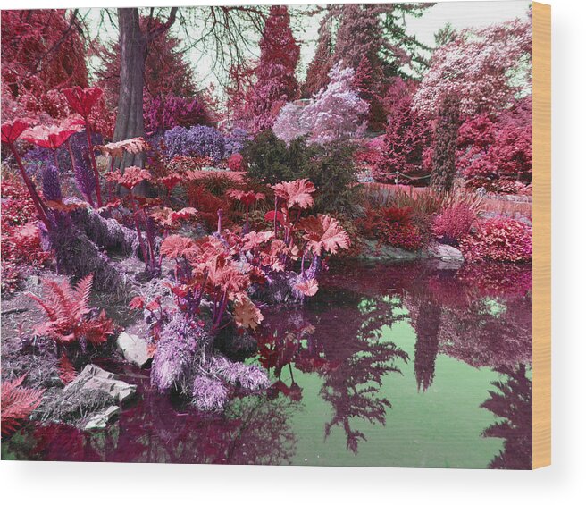 Park Wood Print featuring the photograph Park Pond Red by Laurie Tsemak