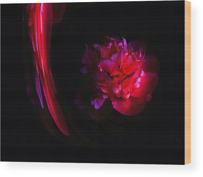 Paeony Wood Print featuring the photograph Parrot and Paeony Illusion by Stephanie Grant