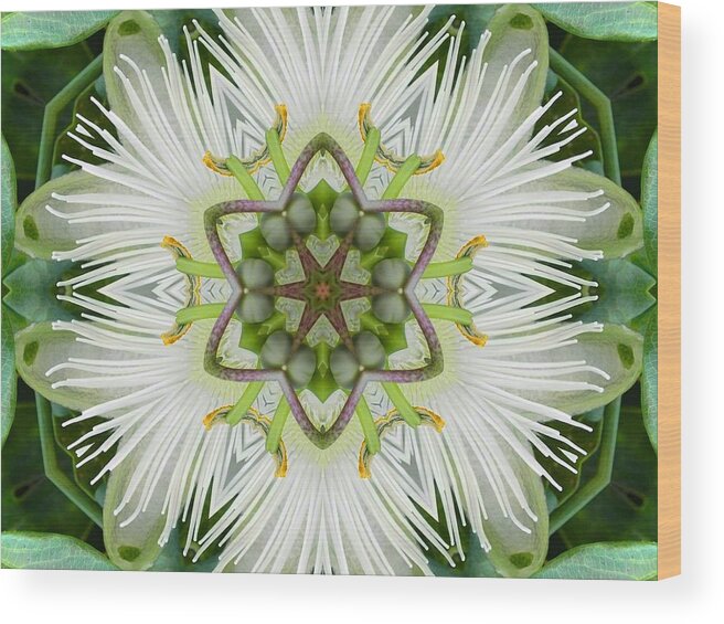Mandalas Wood Print featuring the digital art Passion Flower Mandala by Diane Lynn Hix