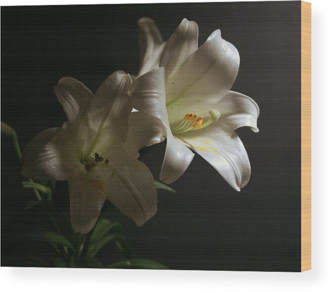 Lily Wood Print featuring the photograph Peace Lily by Cathy Harper