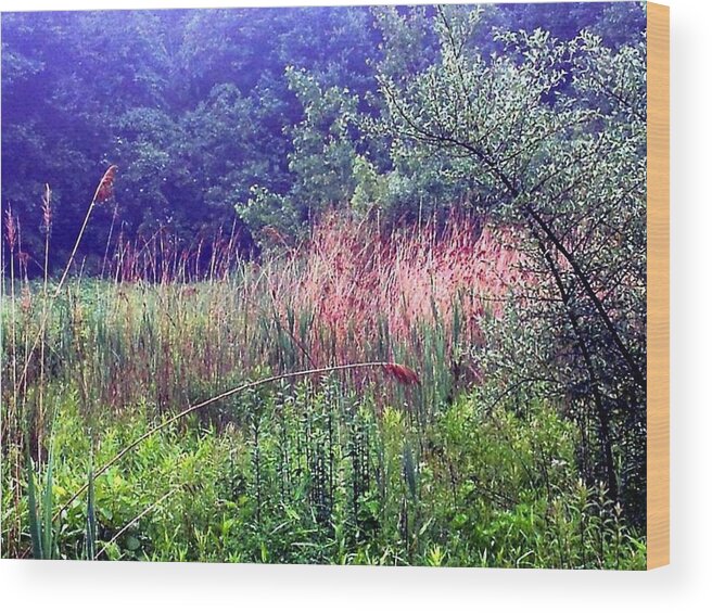 Meadow Wood Print featuring the photograph Peace Offering by Dani McEvoy