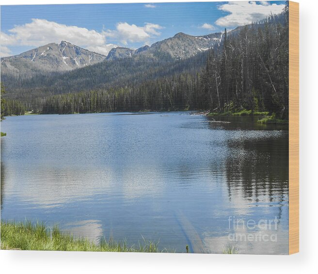 Landscape Wood Print featuring the photograph Peaceful Afternoon by Elizabeth M