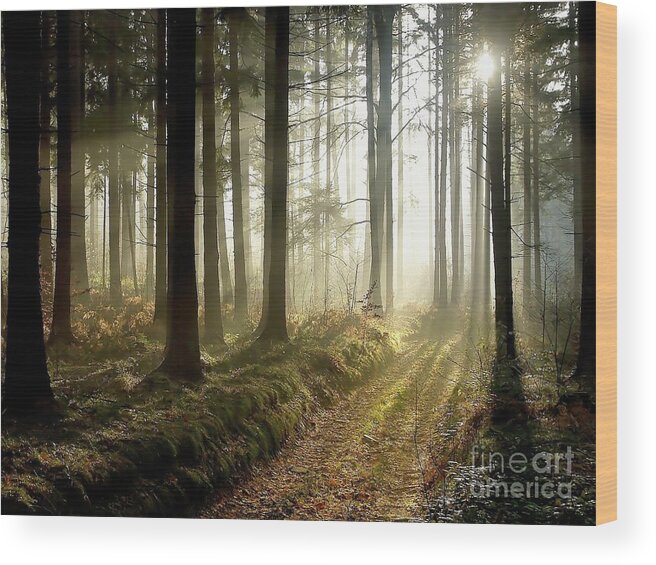 Peaceful Wood Print featuring the photograph Peaceful by Boon Mee