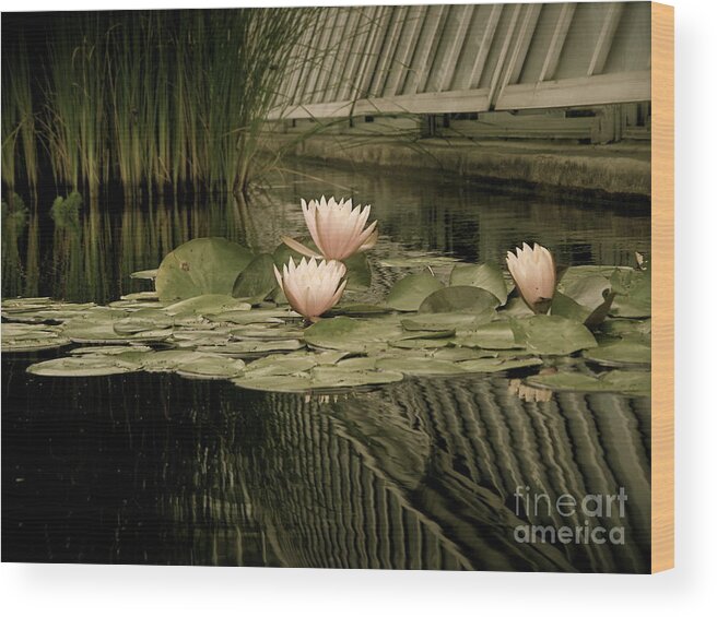 Reflecting Pool Wood Print featuring the photograph Peaceful Dream by Elizabeth Ren