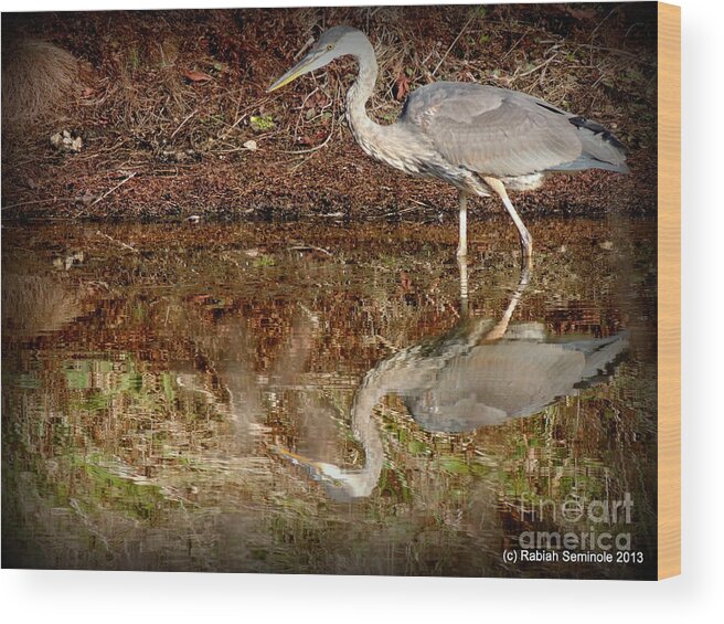 Heron Wood Print featuring the photograph Peaceful Hunter by Rabiah Seminole