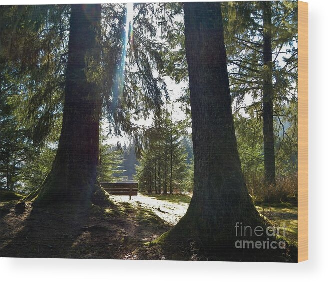Forest Wood Print featuring the photograph Peaceful Setting by Laura Wong-Rose