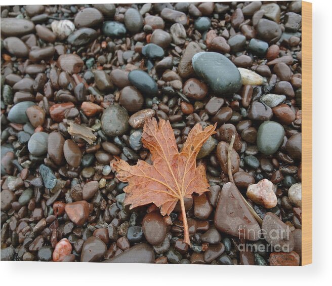 North Shore Wood Print featuring the photograph Pebbles by Jacqueline Athmann