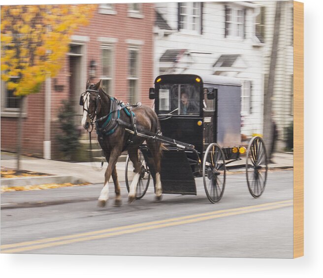 Landscape City Horse Carriage Wood Print featuring the photograph Pennsylvania Dutch Carriage by Paul Ross