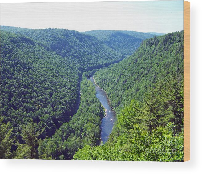 Pennsylvania Grand Canyon Wood Print featuring the photograph Pennsylvania Grand Canyon 2 by Tom Doud