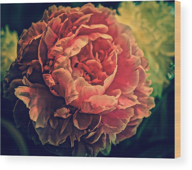 Close-up Wood Print featuring the photograph Peony Pink by Ronda Broatch