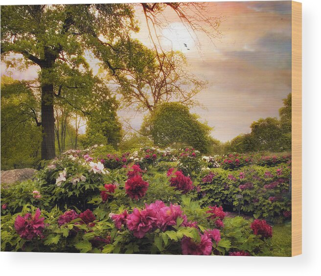 Spring Wood Print featuring the photograph Peony Place by Jessica Jenney