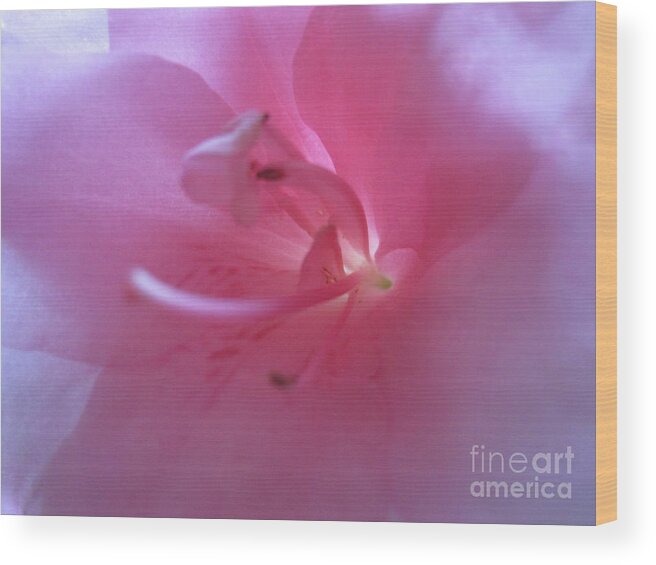 Floral Wood Print featuring the photograph Pink Azalia Abstract 3 by Tara Shalton