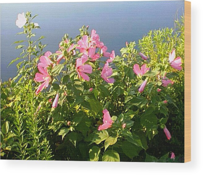 Hibiscus Wood Print featuring the digital art Pink Flowers by the Lake by Good Taste Art