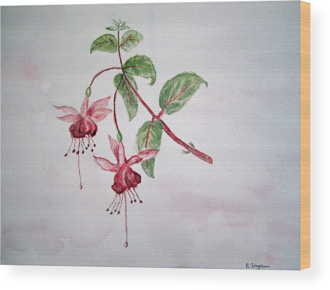Floral Wood Print featuring the painting Pink Fuchsia's by Elvira Ingram
