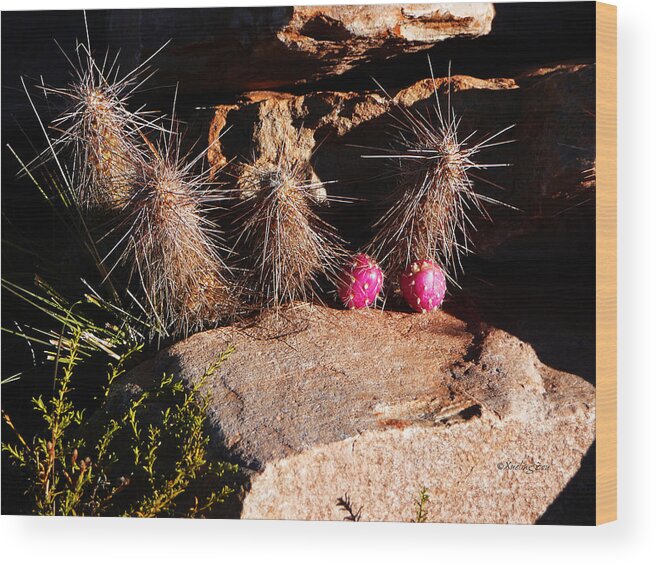 Prickly Wood Print featuring the photograph Pink Lady Cactus by Xueling Zou
