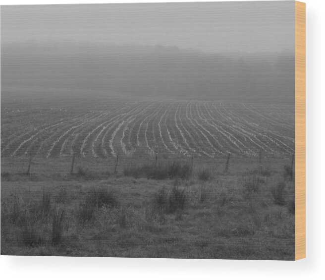 Bill Tomsa Wood Print featuring the photograph Plowed in the Fog by Bill Tomsa