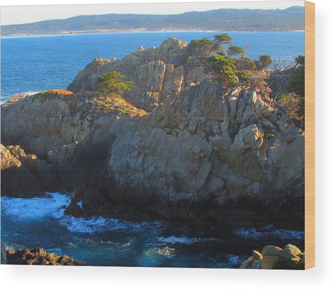 Point Lobos Wood Print featuring the photograph Point Lobos Number 9 by Derek Dean
