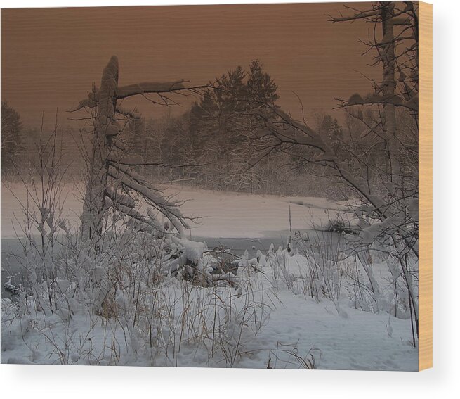 Pond Wood Print featuring the photograph Pond Scape by Mim White