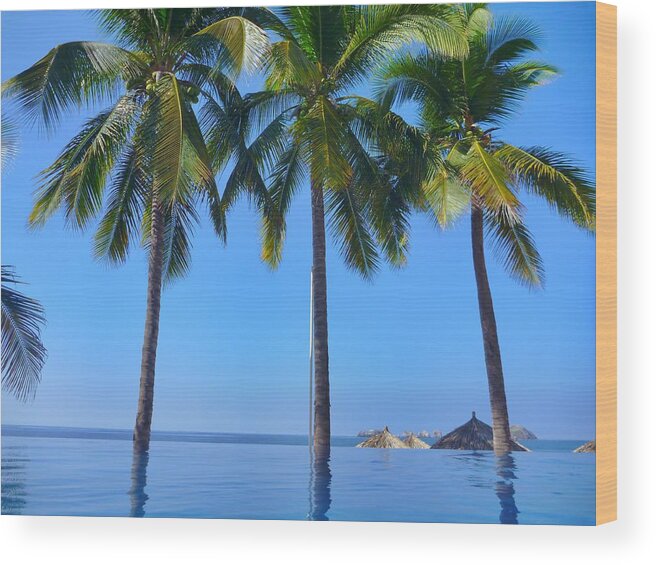 Ixtapa Mexico Wood Print featuring the photograph Pool Palm Trees by Nancy Dunivin