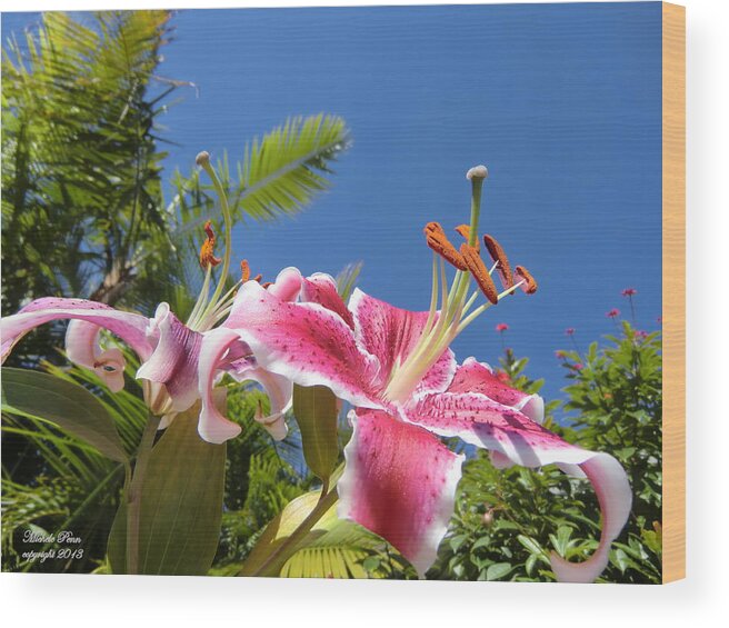 Flower Photograph Wood Print featuring the photograph Possibilities by Michele Penn