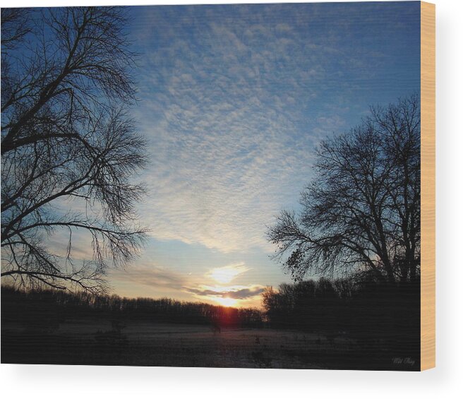 Sunrise Wood Print featuring the photograph Prairie Rising by Wild Thing