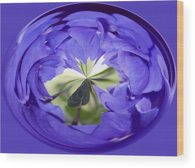Circle Distortion Wood Print featuring the photograph Purple Distortion by Roni Chastain