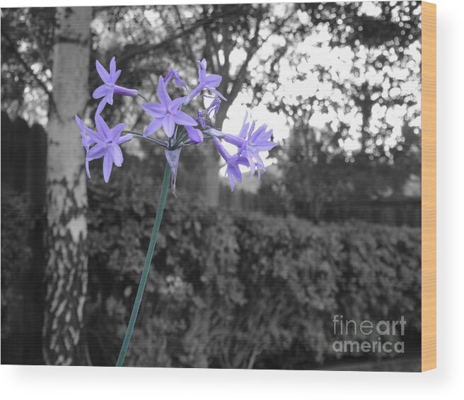 Flowers Wood Print featuring the photograph Purple Flowers by Erik Dunn