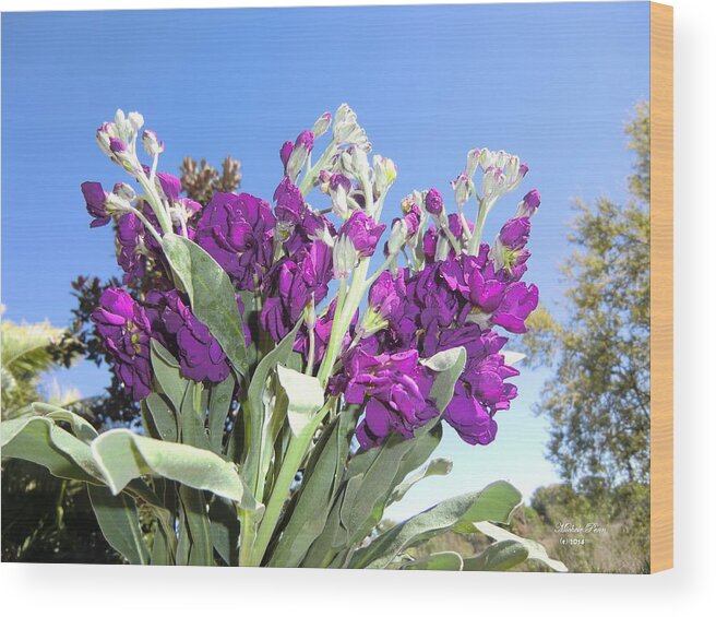 Purple Wood Print featuring the photograph Purple glow by Michele Penn