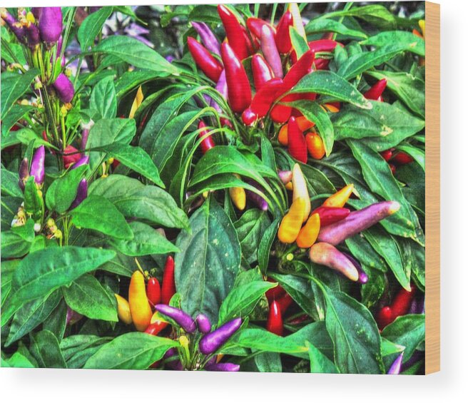 Purple Wood Print featuring the photograph Purple Peppers by Lanita Williams