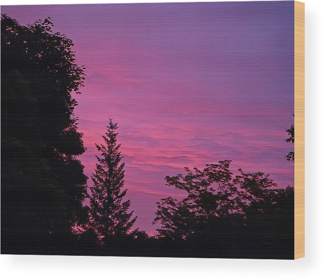 Sunset Wood Print featuring the photograph Purple Sky At Night by Aimee L Maher ALM GALLERY