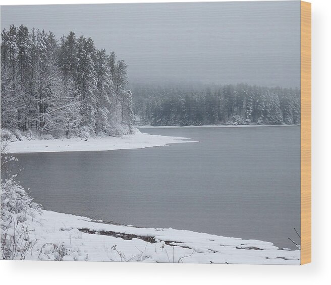 Snow Wood Print featuring the photograph Quiet Winter Scene at the Lake 2 by Nancy De Flon