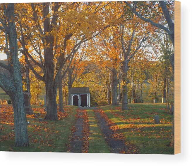 Sunrise Wood Print featuring the photograph Quivet Morning by Dianne Cowen Cape Cod Photography