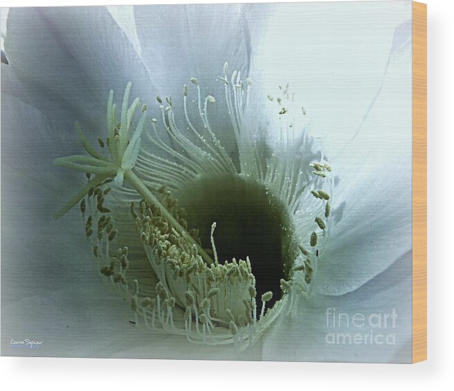 Radiant Flower Wood Print featuring the photograph Radiant Being by Leanne Seymour