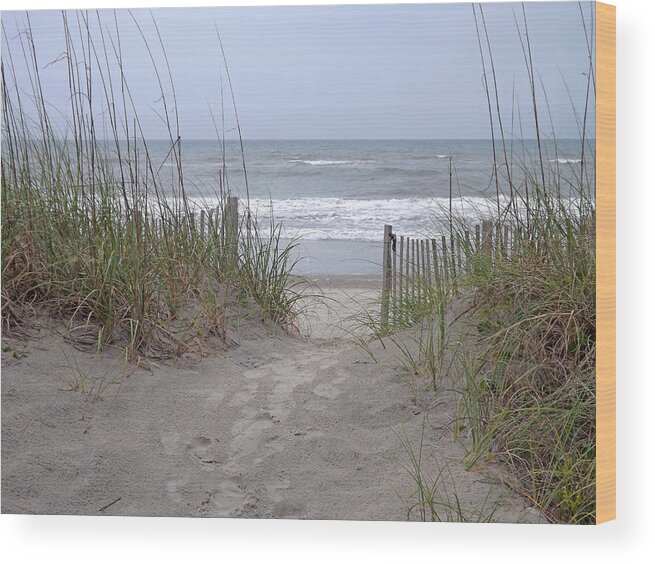 Background Wood Print featuring the photograph Rain Storm on Beach by Bill TALICH