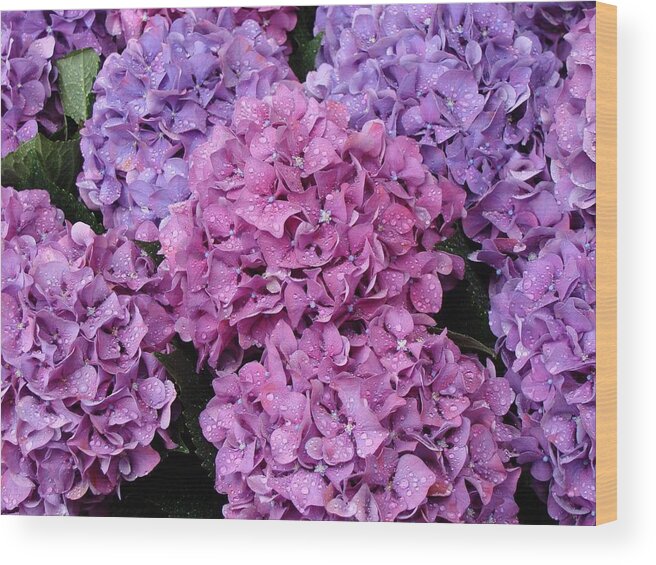 Flowers Wood Print featuring the photograph Rainy Day Flowers by Ira Shander