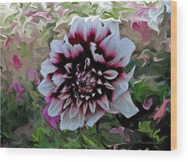 Floral Wood Print featuring the photograph Red and White Dahlia by Harold Zimmer