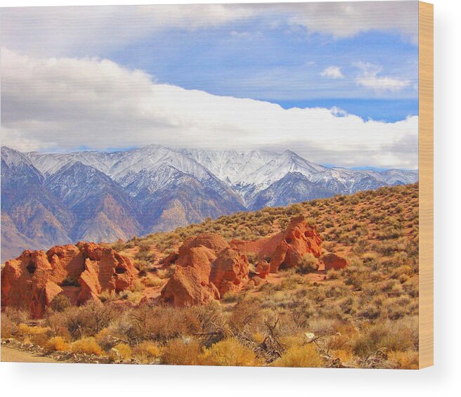 Sky Wood Print featuring the photograph Red Rock And Desert by Marilyn Diaz