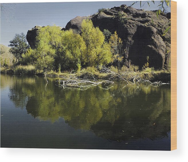 Reflections Wood Print featuring the photograph Reflections at the Lake by Lucinda Walter