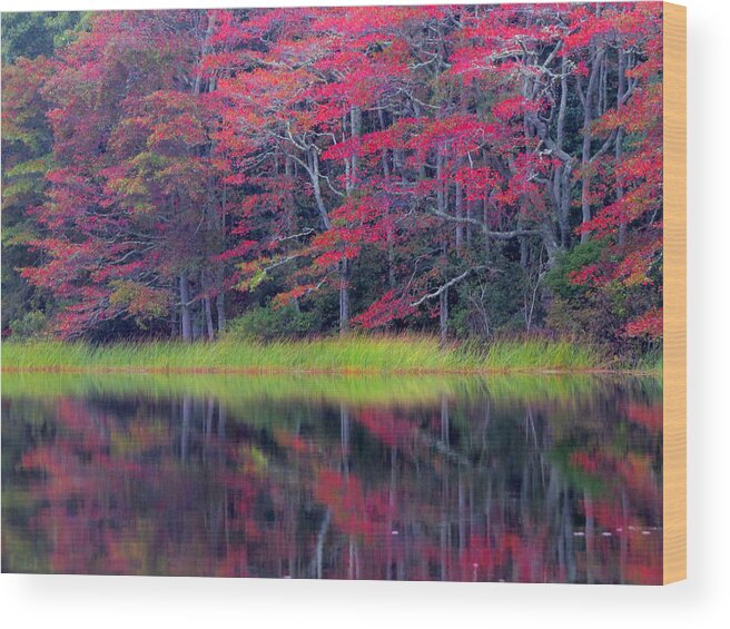 October Wood Print featuring the photograph Reflections of Fall by Dianne Cowen Cape Cod Photography