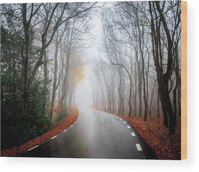 Tranquility Wood Print featuring the photograph Road At Dawn by Mafr Mcfa