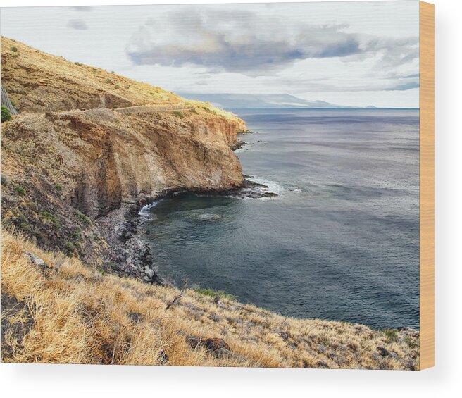 Hawaii Wood Print featuring the photograph Road to Lahaina 4 by Dawn Eshelman