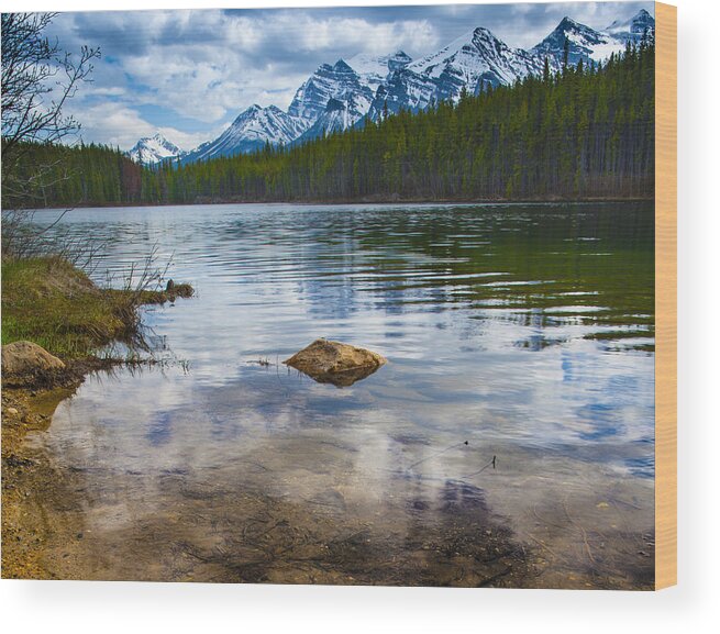 Rockies Wood Print featuring the photograph Rockies by Chris Halford