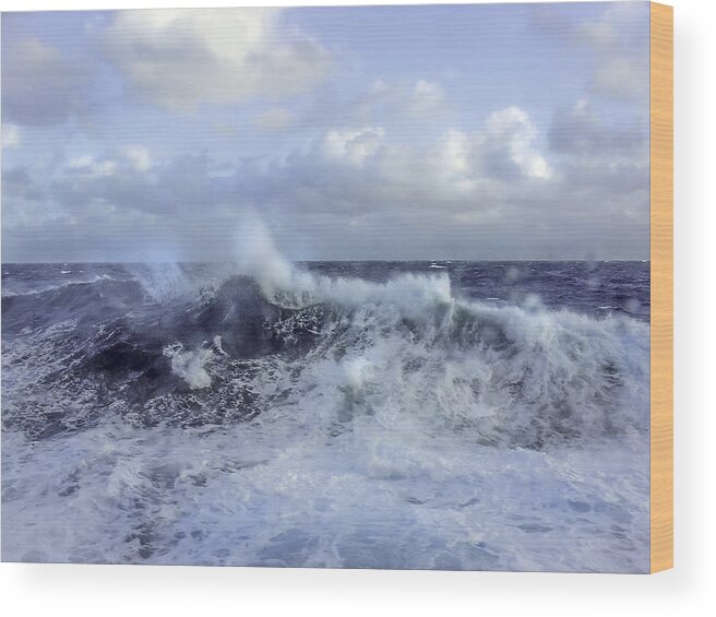 Julie Palencia Wood Print featuring the photograph Rocking and Rolling in the Deep Sea by Julie Palencia