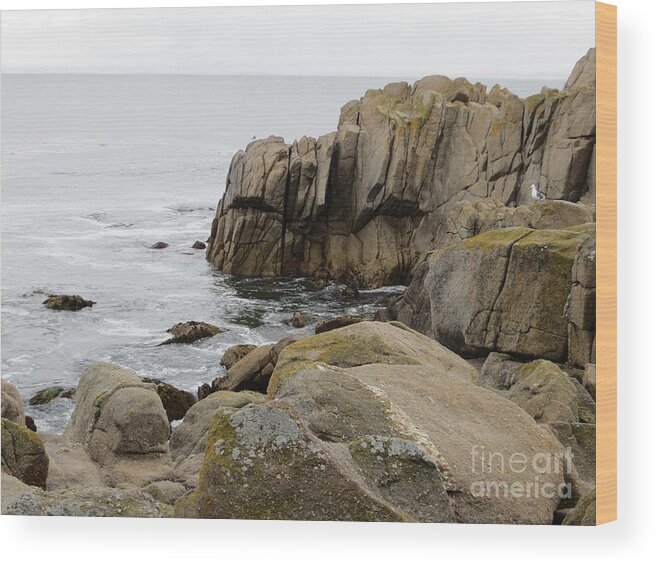 Nature Wood Print featuring the photograph Rocky Formations by Joseph Baril