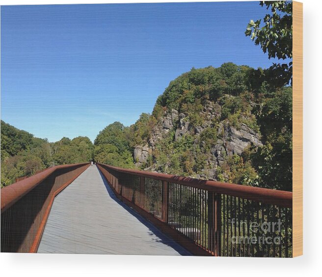 Rosendale Trestle Wood Print featuring the photograph Rosendale Trestle by Cornelia DeDona