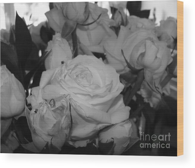 Roses Wood Print featuring the photograph Roses by Tiziana Maniezzo